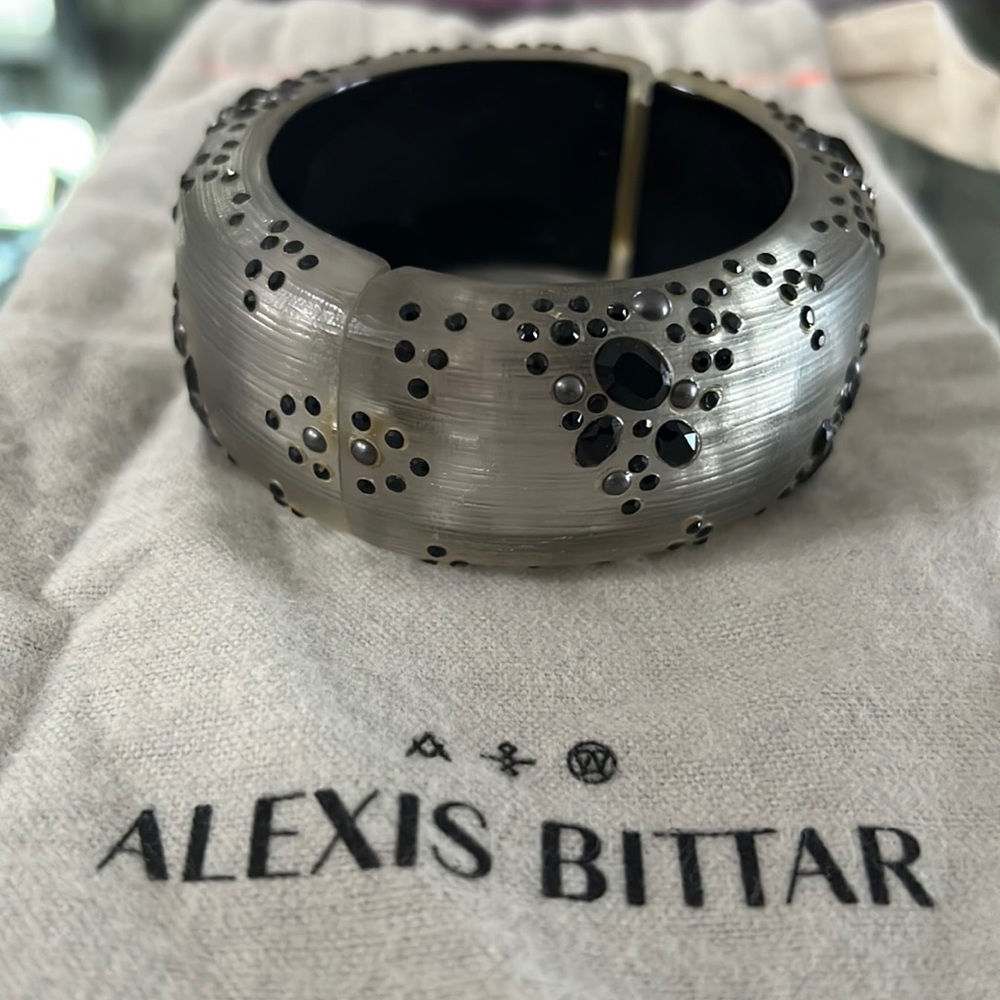 Alexis Bittar Lucite Large Hinged Bracelet